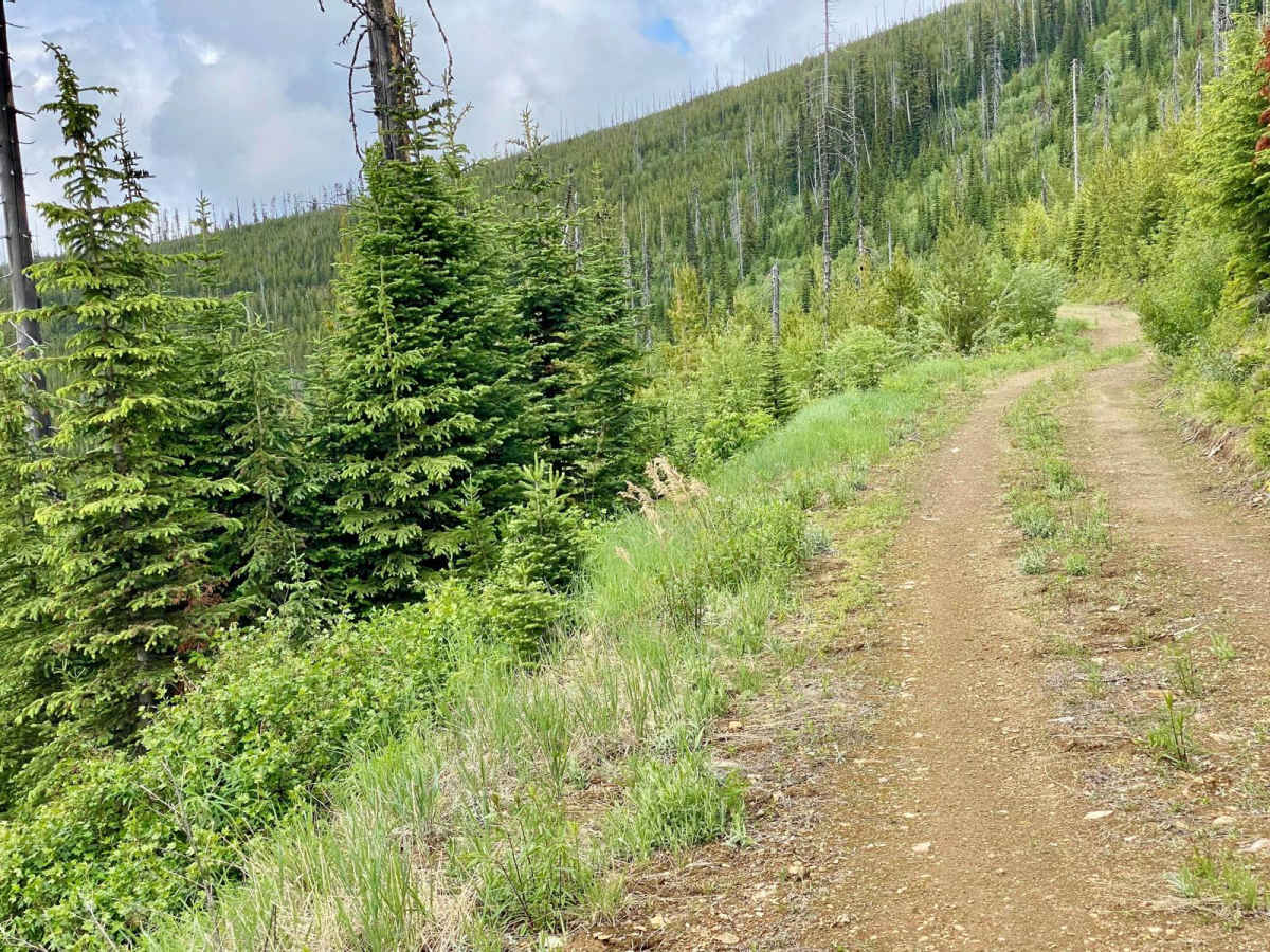 Upper Idaho Gulch photo 6