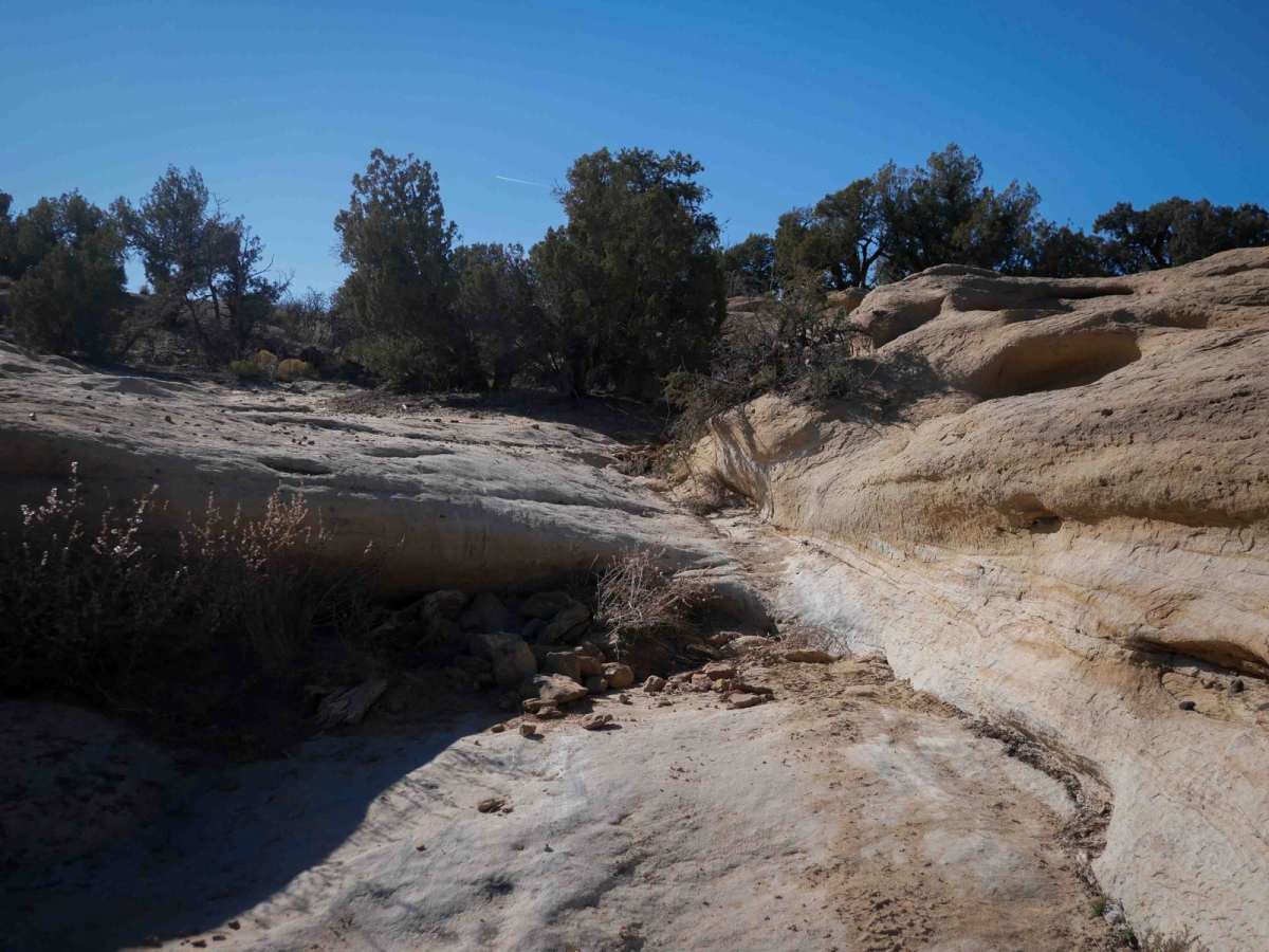 Glade Run Access Trail photo 2