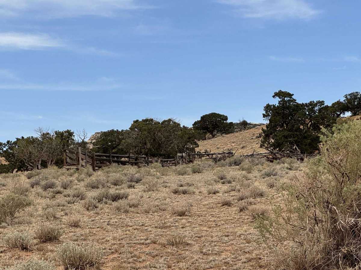 Swasey's Cabin - Rod's Valley photo 4
