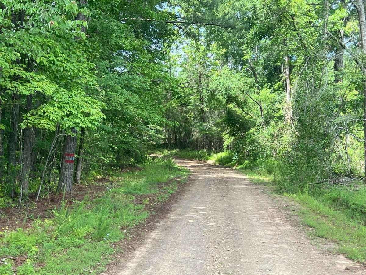 Edwards Road trail photo