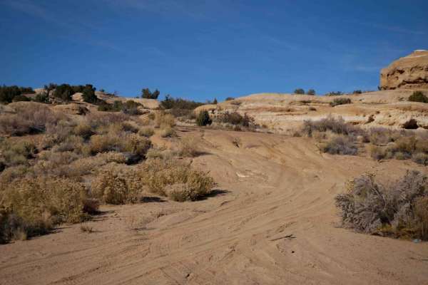 Coyote Cat ATV