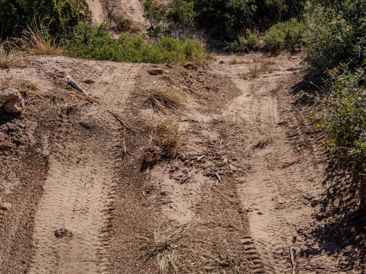 Sidewinder photo 5