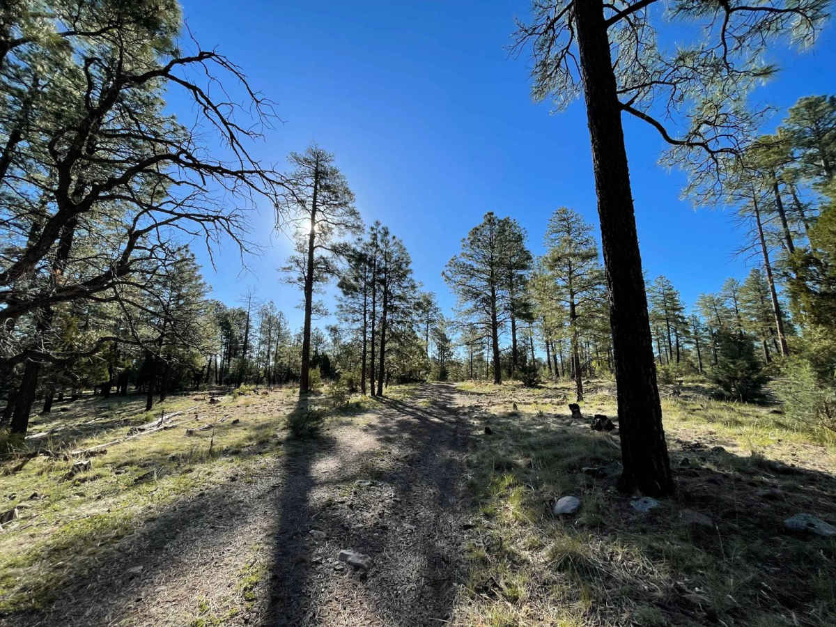 Apache Peak Road photo 2