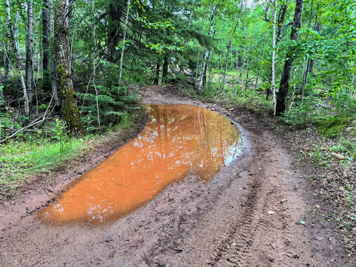 Gravy Train photo 4