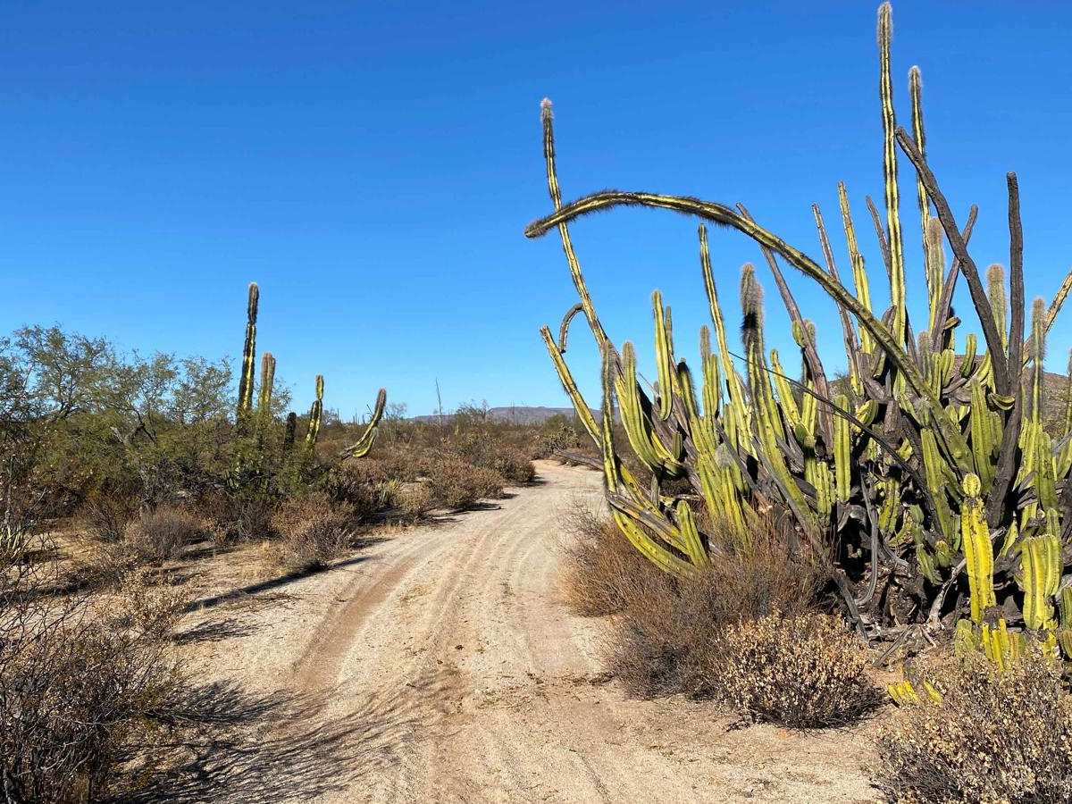 El Marmol Atras trail photo