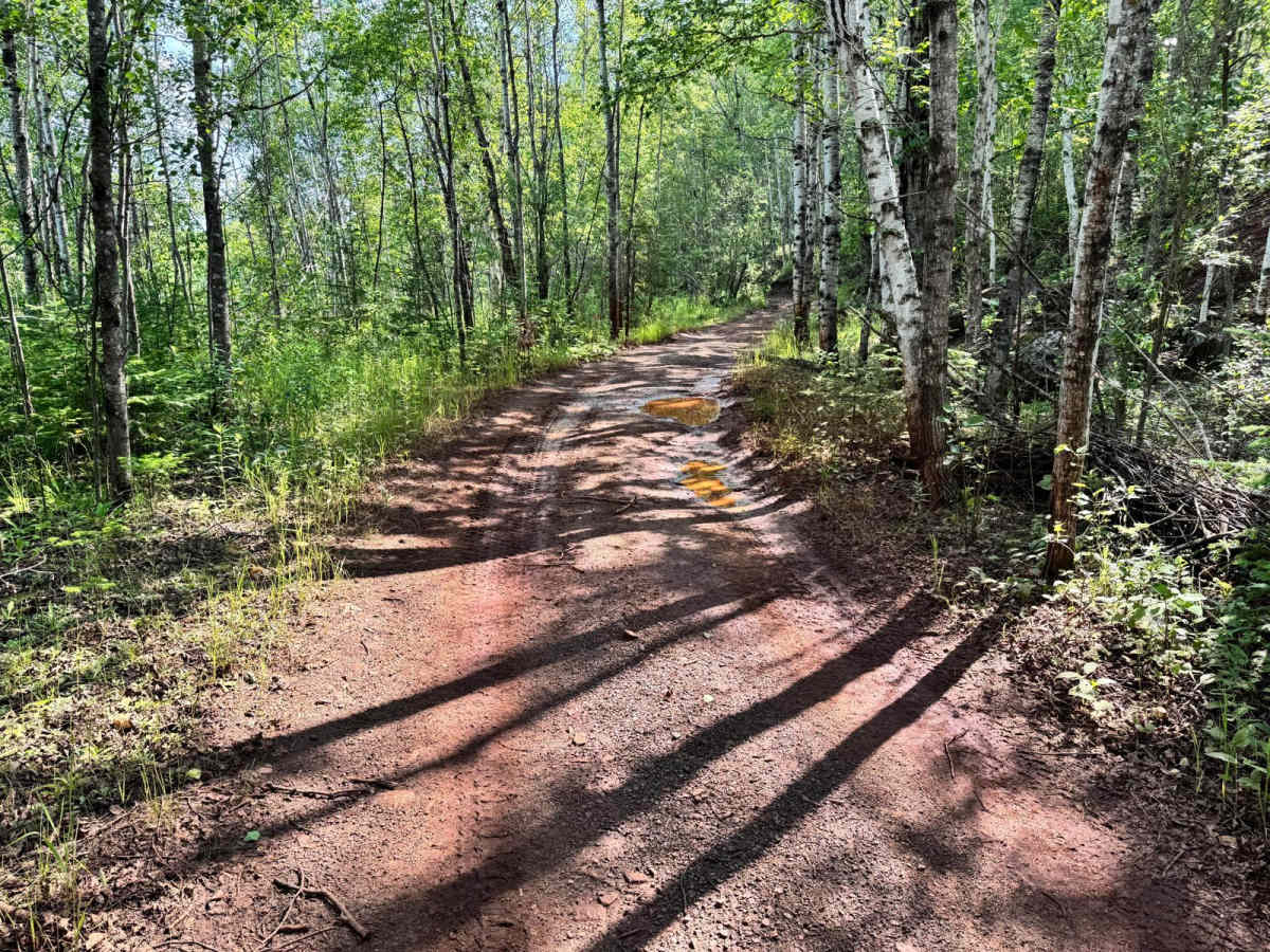 Berry Trail photo 2