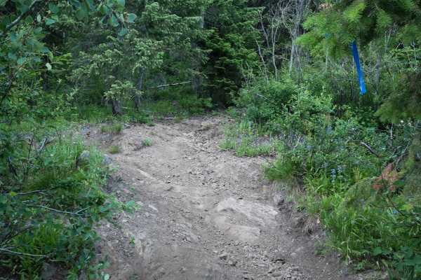 St Joe Divide NRT ATV (Kellogg Saddle to Dam Creek)