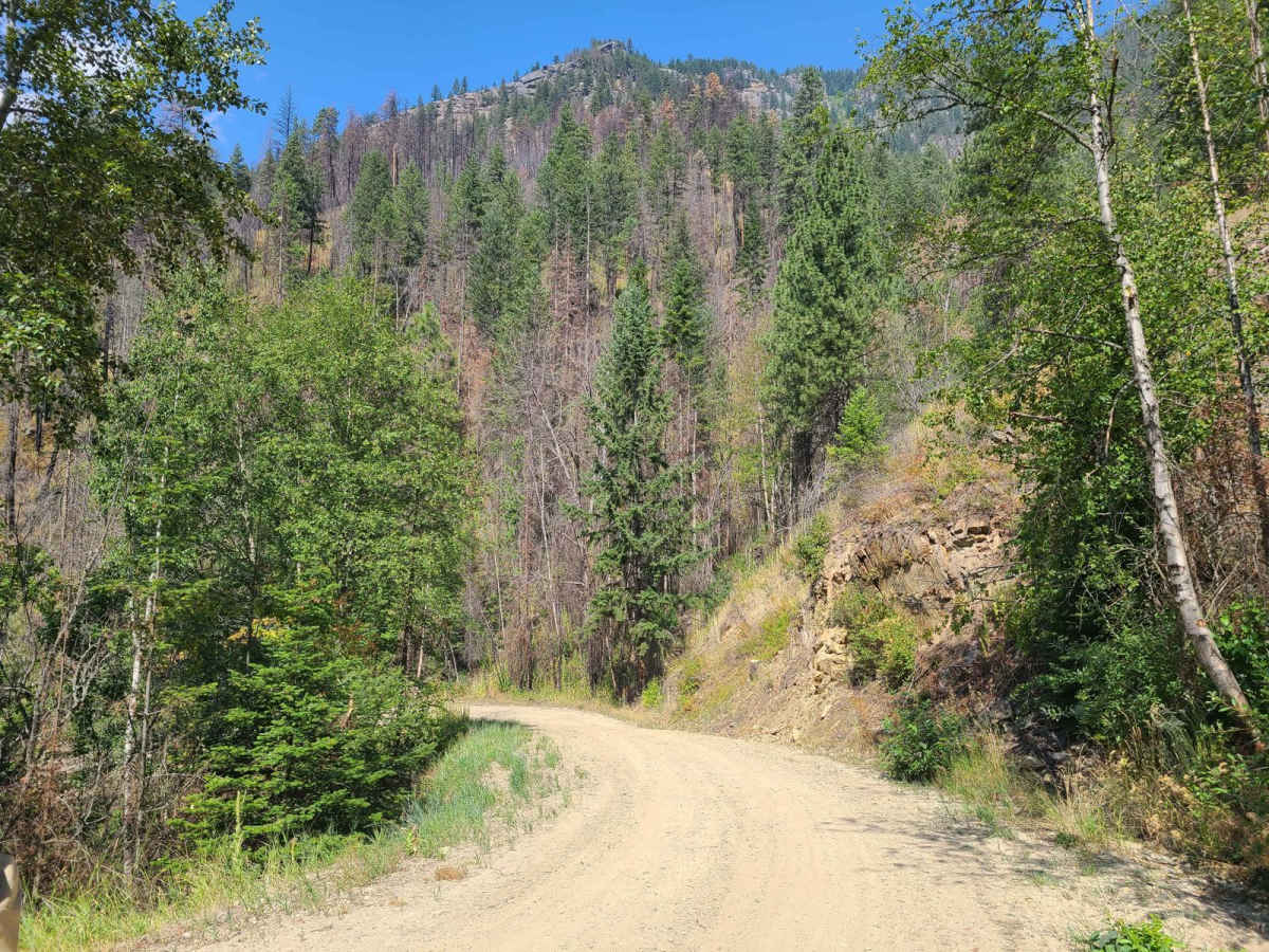 Ball Creek photo 2