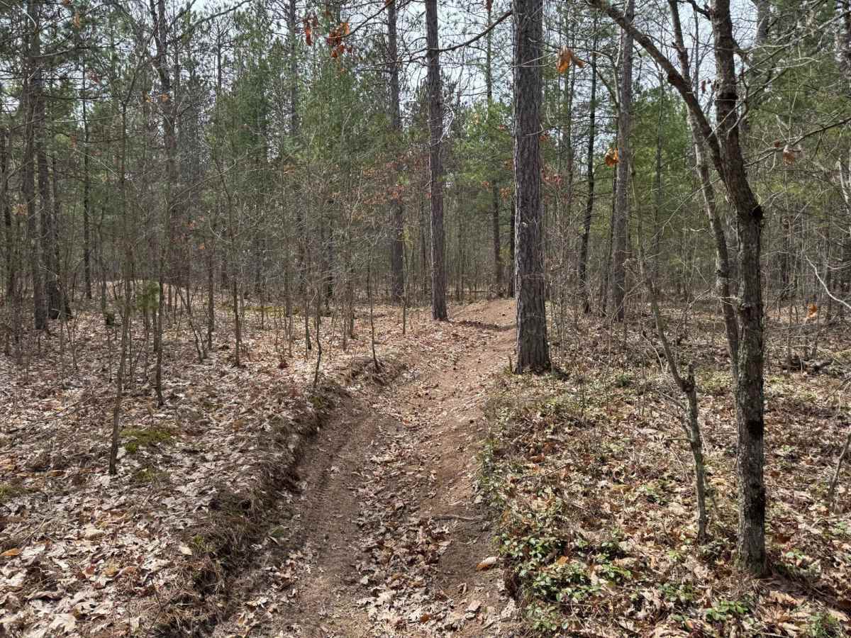 Grand Traverse East Connector trail photo