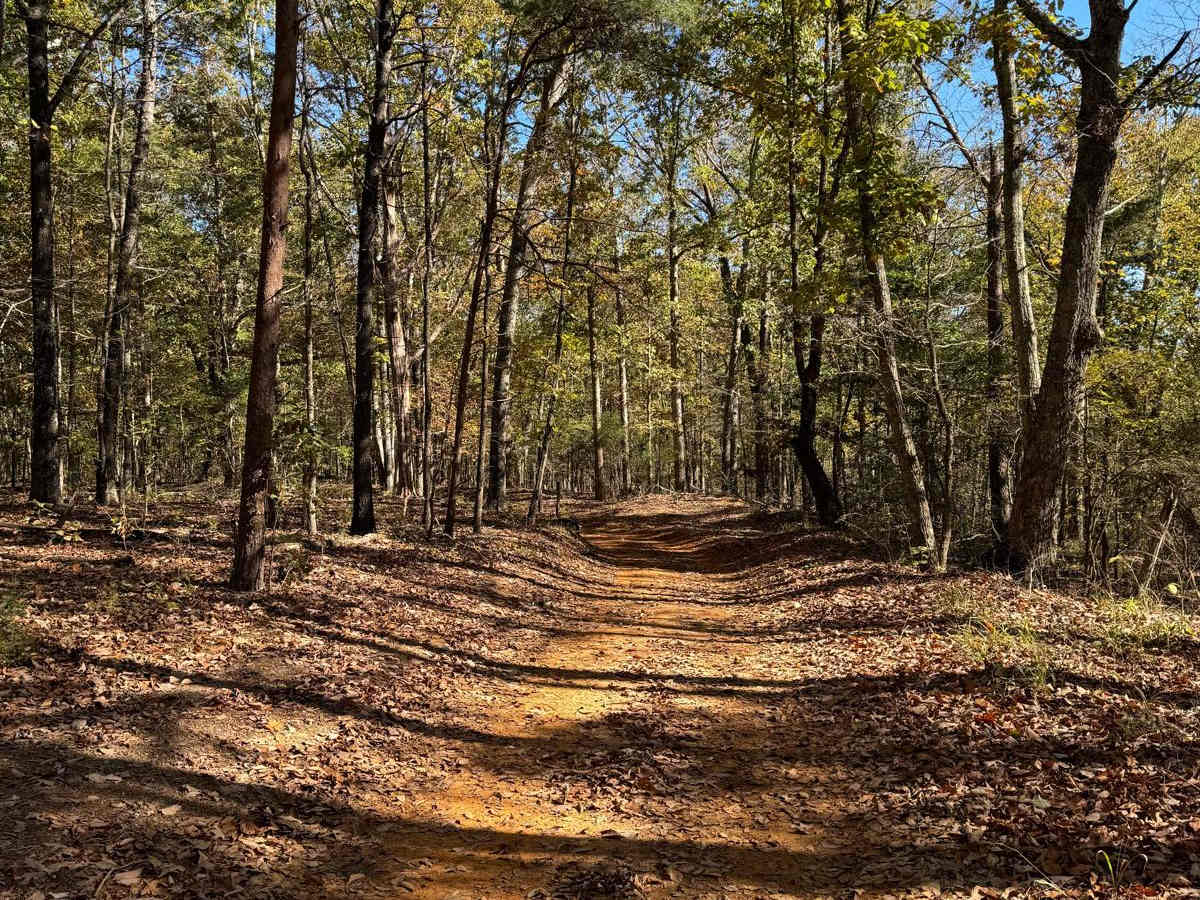 Blue Polaris Outfitter Trail trail photo