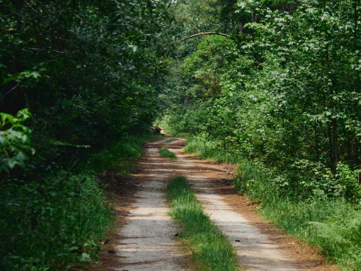 Guilliard Lake - FSR 150 photo 3