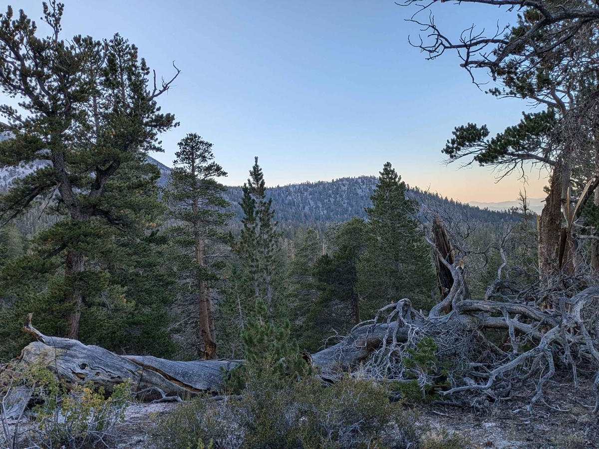 Sawmill Meadows Side Trail trail photo