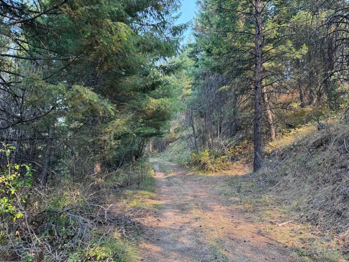 Chaffin Creek Hart Gulch photo 5