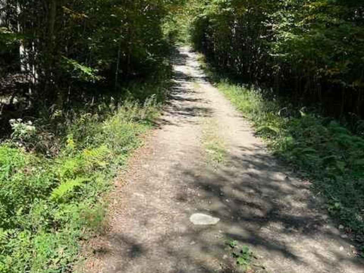 Picketville Road photo 3