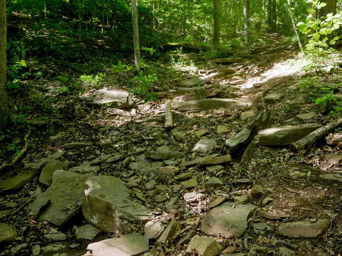 Trail 25 trail photo