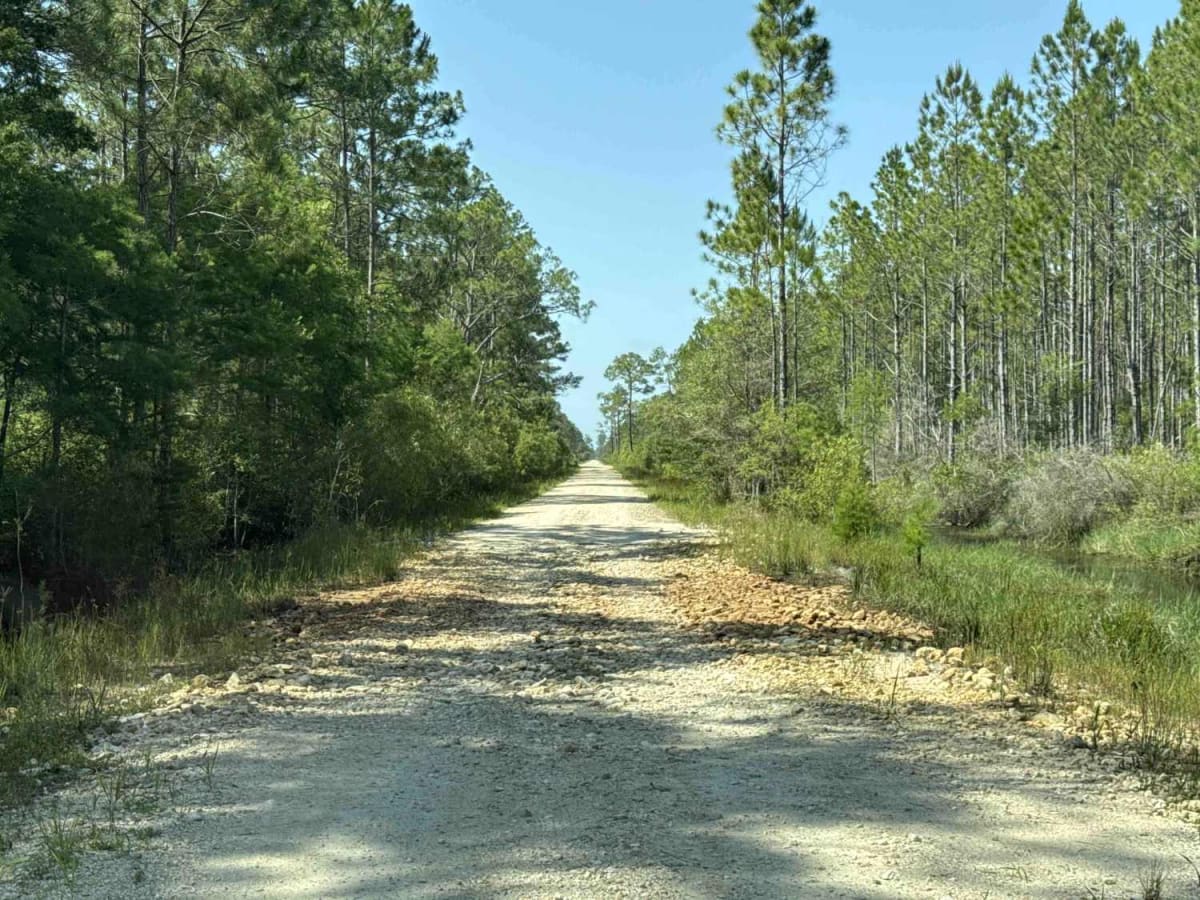 North Road trail photo