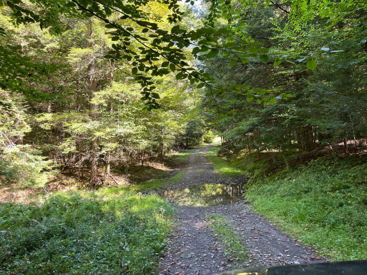 Wildcat Hollow Limited Access photo 4
