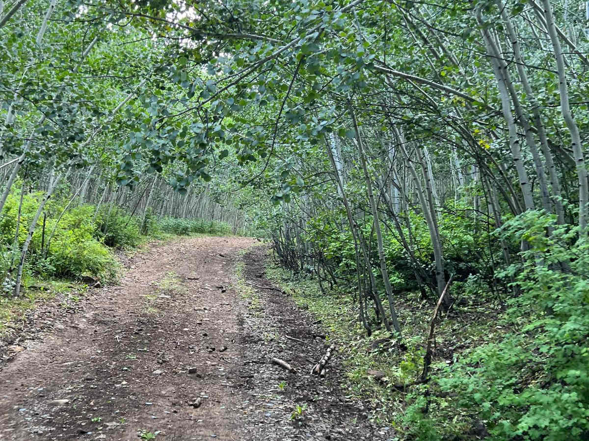 Red Arrow Aspen Passage photo 6