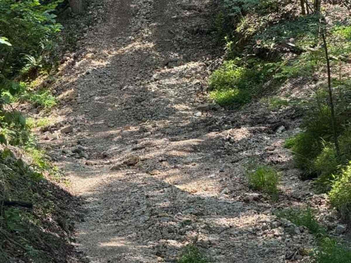 Abby's Trail photo 2