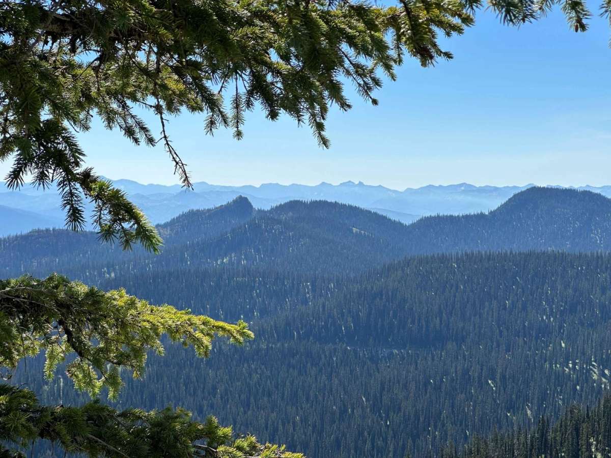 Salmo Lookout photo 3