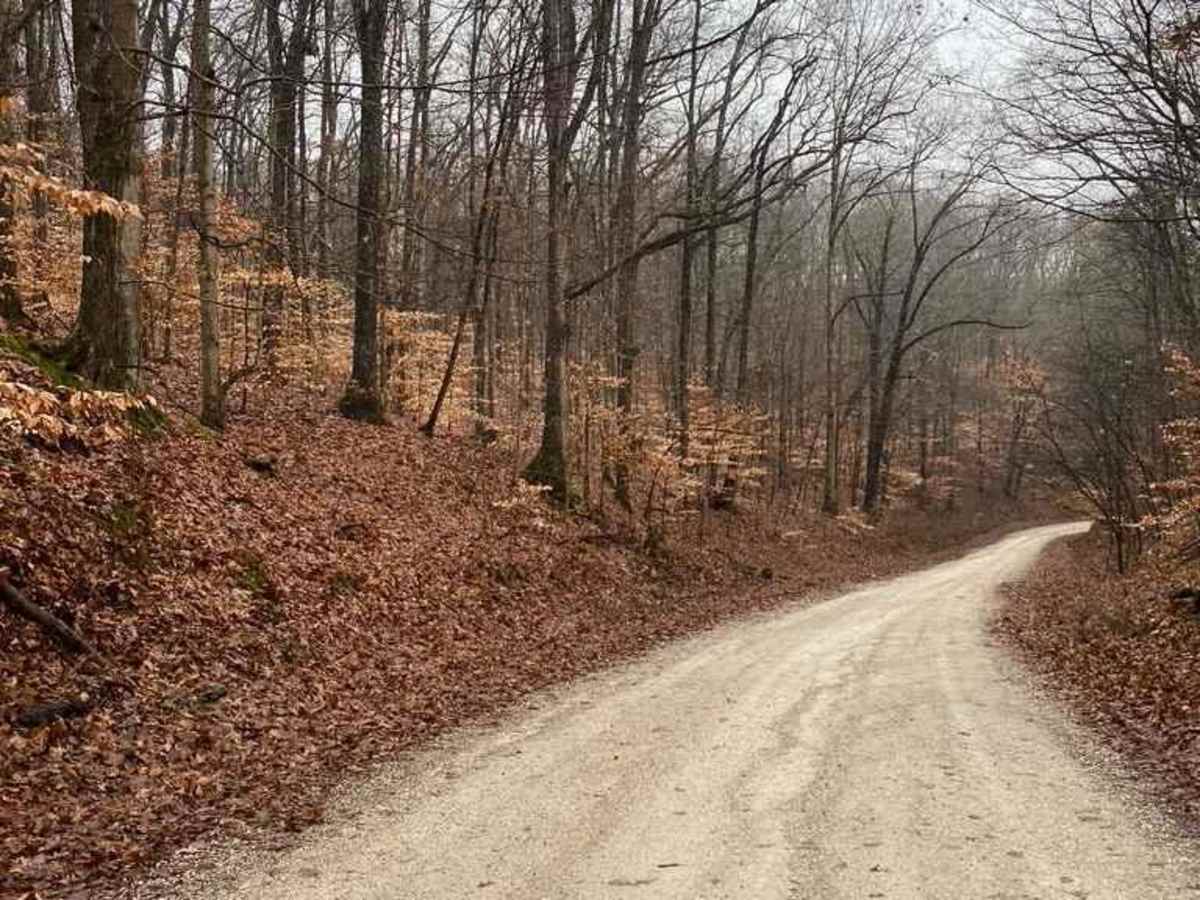 Delta Road/Moad Hollow Road photo 3