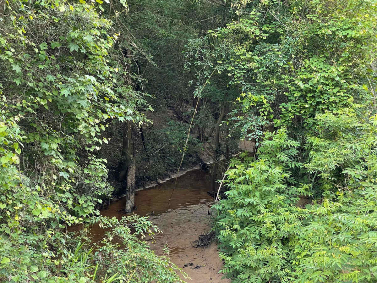 Darden Road photo 5