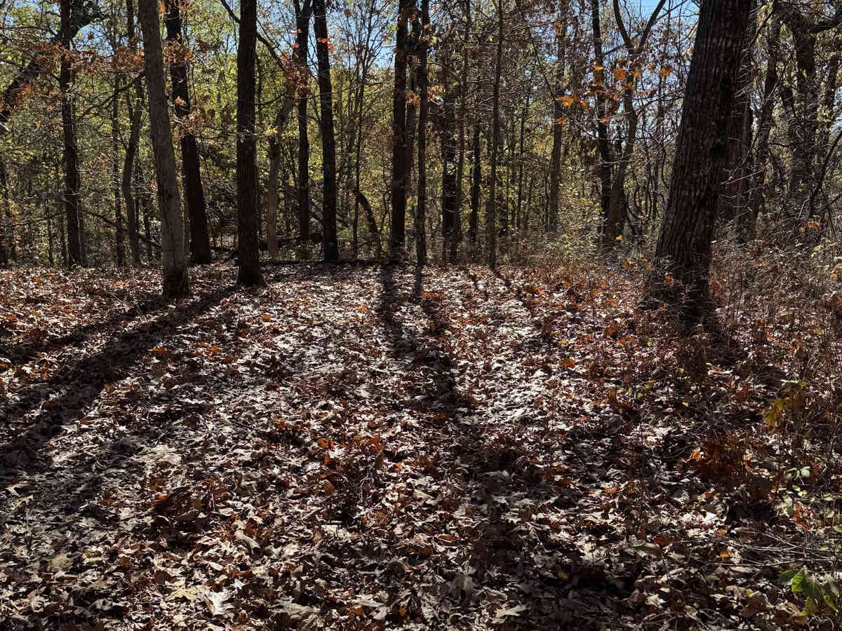 Green 134 photo 2