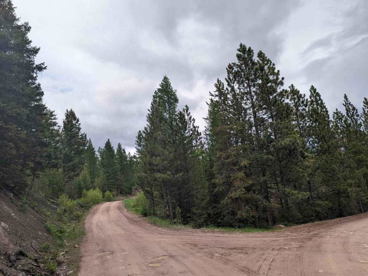 2103 West Fork Gold Creek trail photo