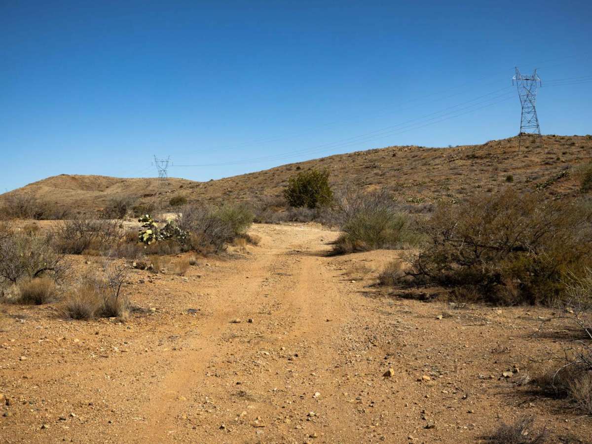 Bc1150 trail photo