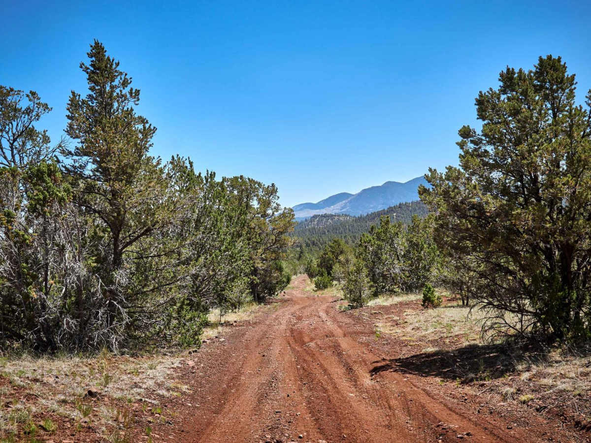 Red Hill Road photo 6