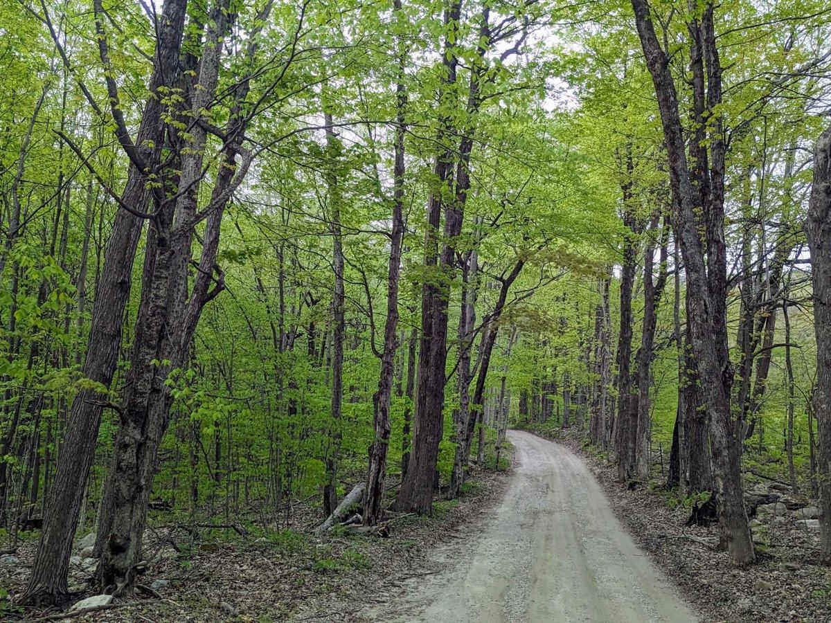 County Road photo 2