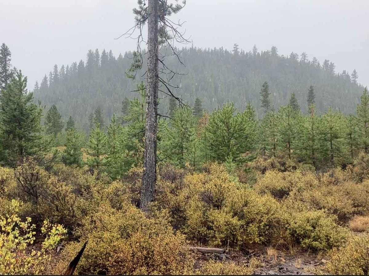 Fuzztail Butte Trail photo 2
