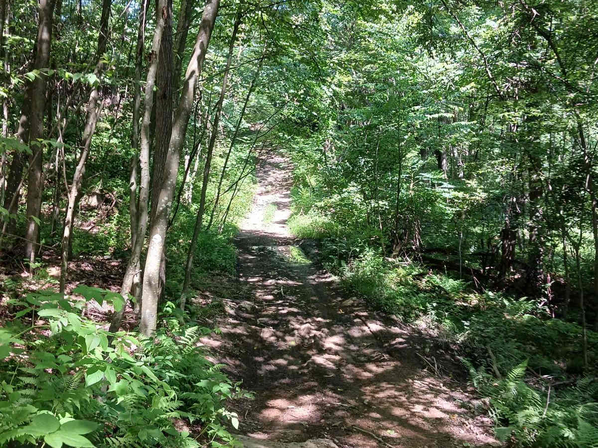 Trail 14A - Rock Run Recreation Area photo 6