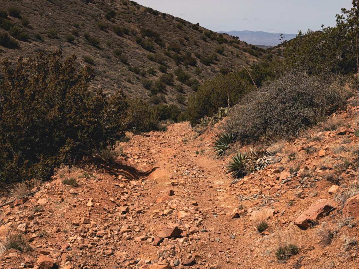 Long Gulch photo 5
