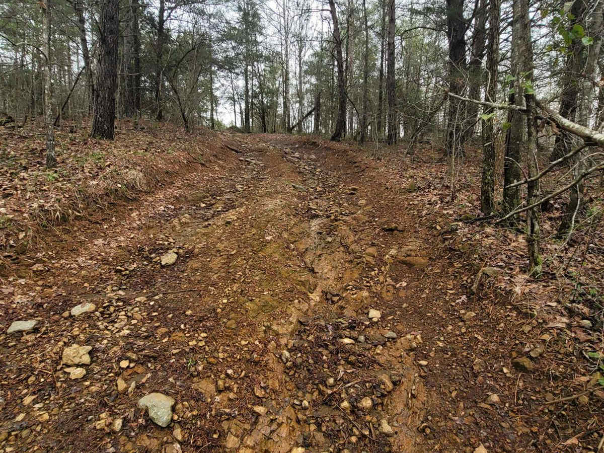 Copperhead Bypass photo 3