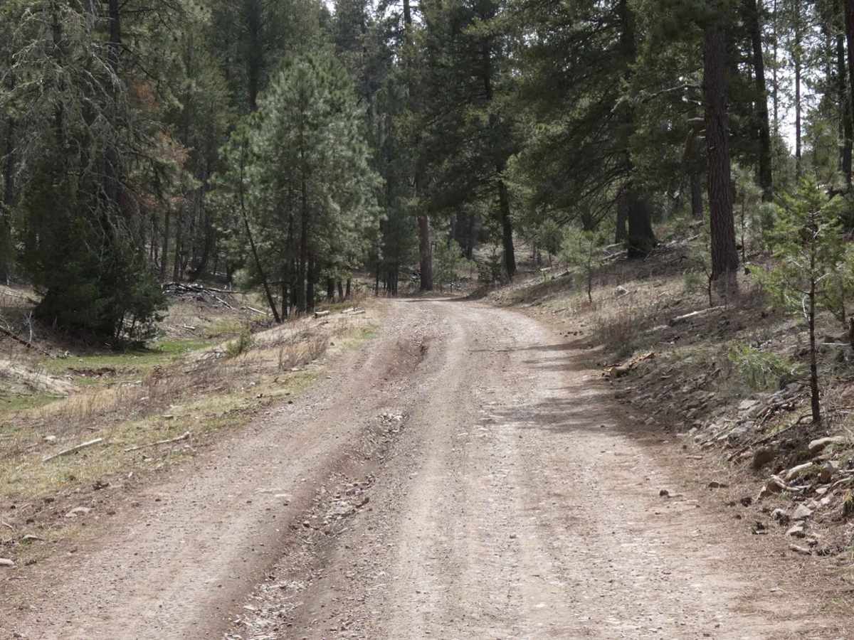 Long Canyon to Board Canyon (FS271) photo 2
