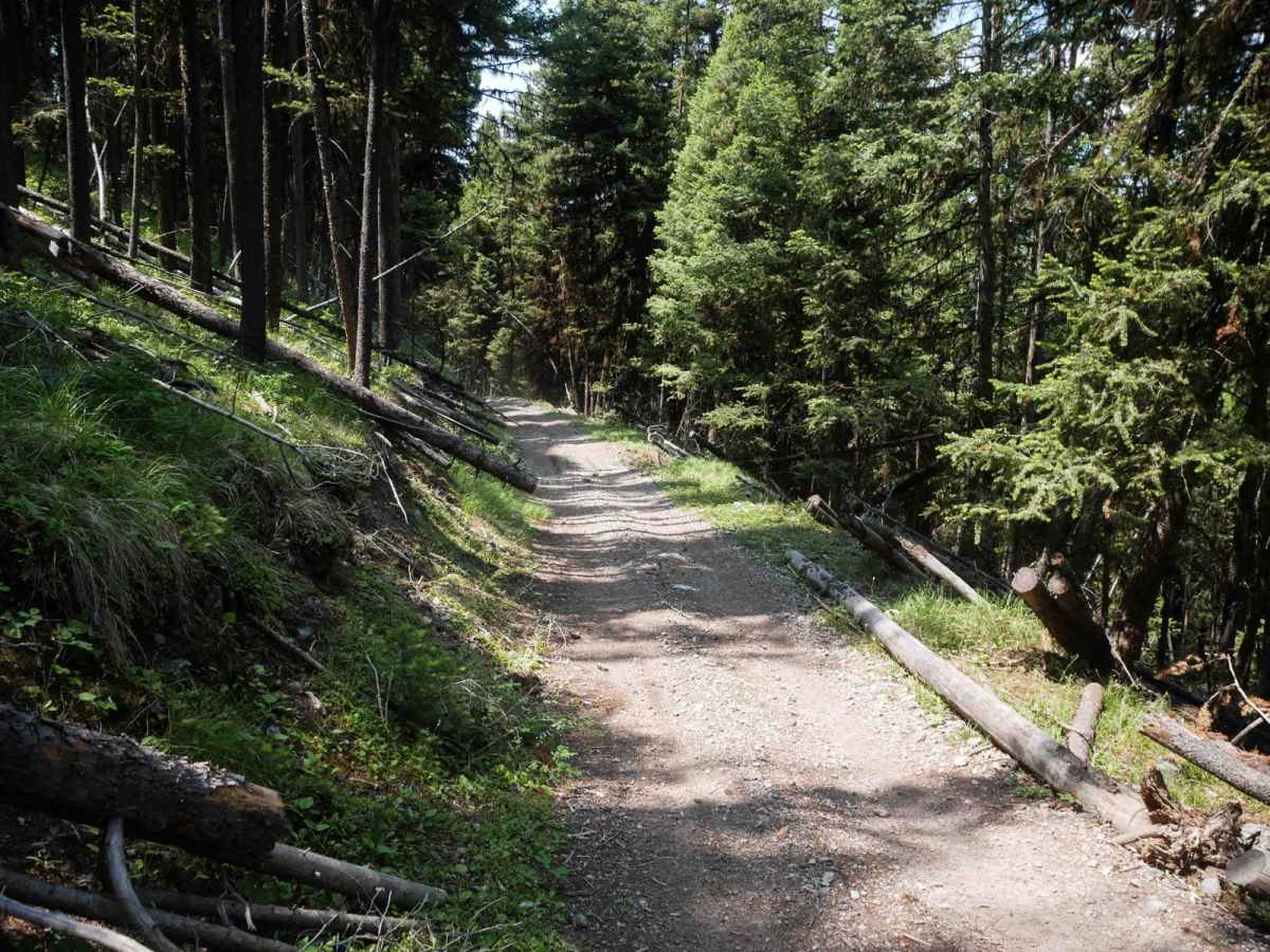 Trail #185 (Part 1) photo 5
