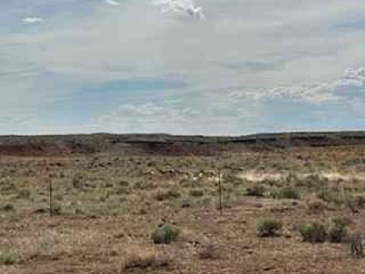 BLM 2086A photo 4