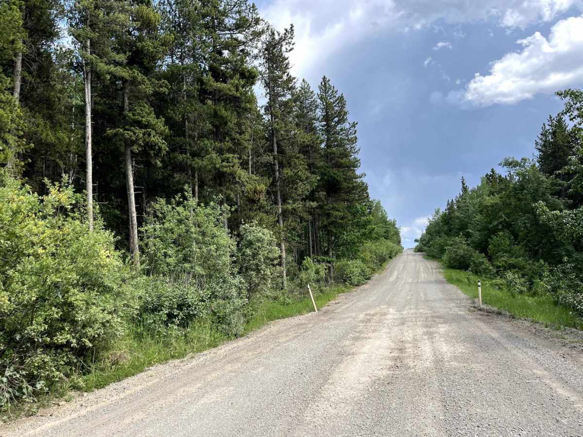 McLean Creek Trail photo 4