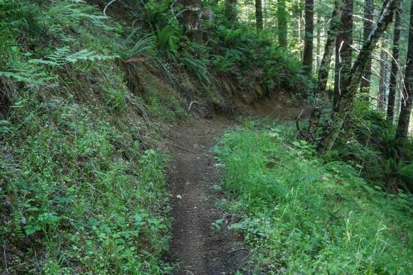 Odin's Ridge #72