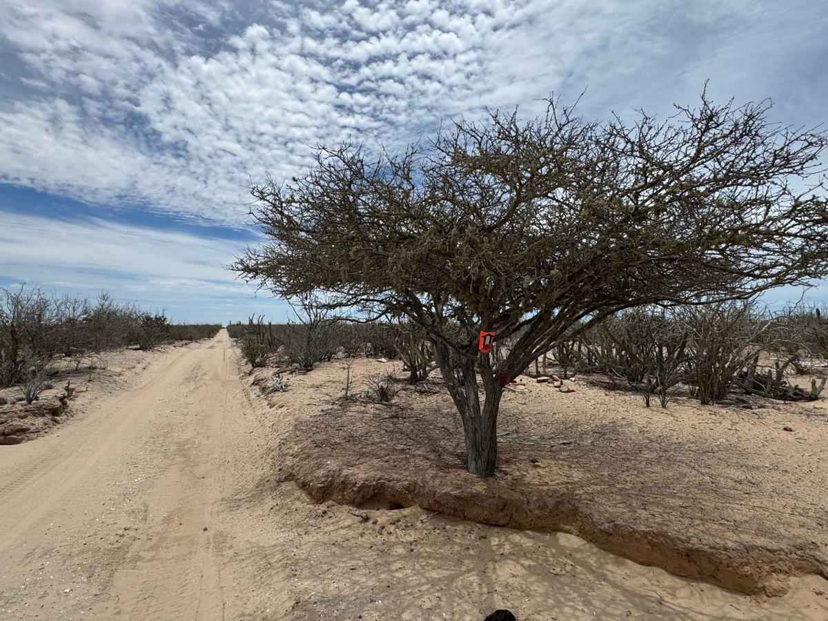 Lago Seco trail photo