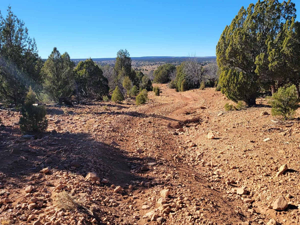 BLM 1648 photo 2