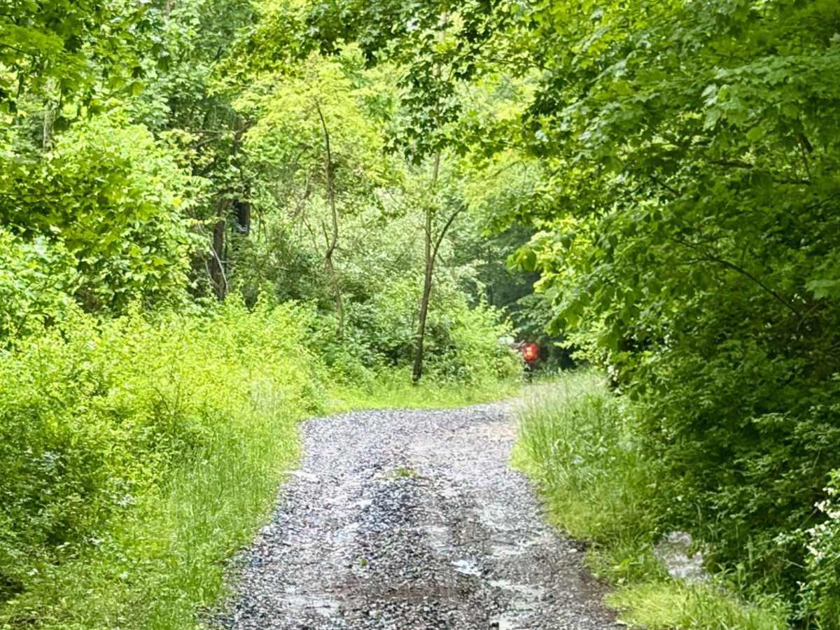 Coal Haul Road photo 3