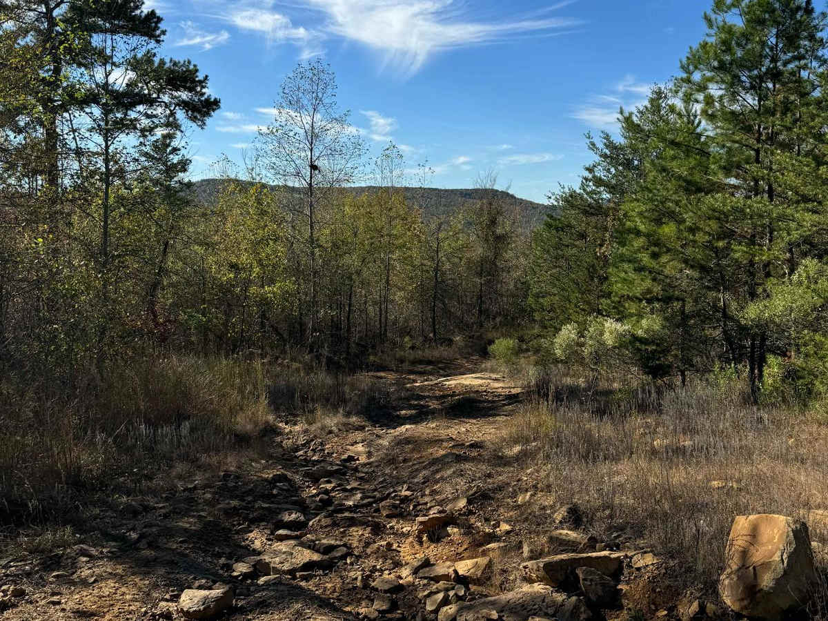 #94 Riner's Run trail photo
