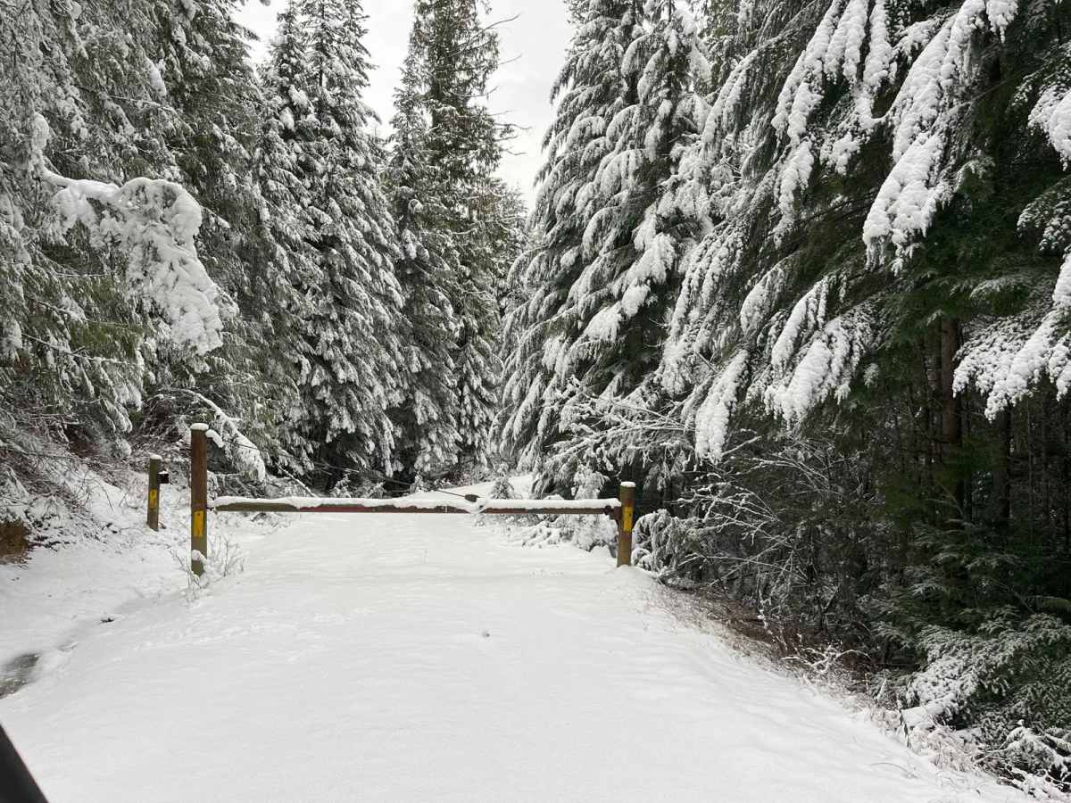 Trail 4712 photo 5