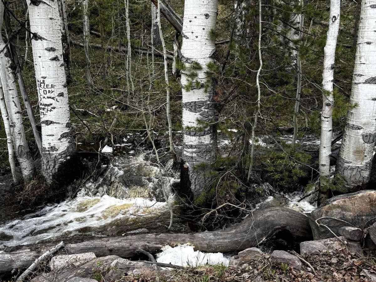 Lily Lake Road photo 6