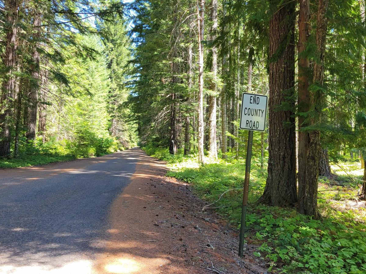 The Monte's (NF 18) trail photo