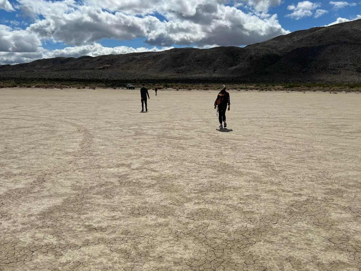 Clark Dry Lake photo 3