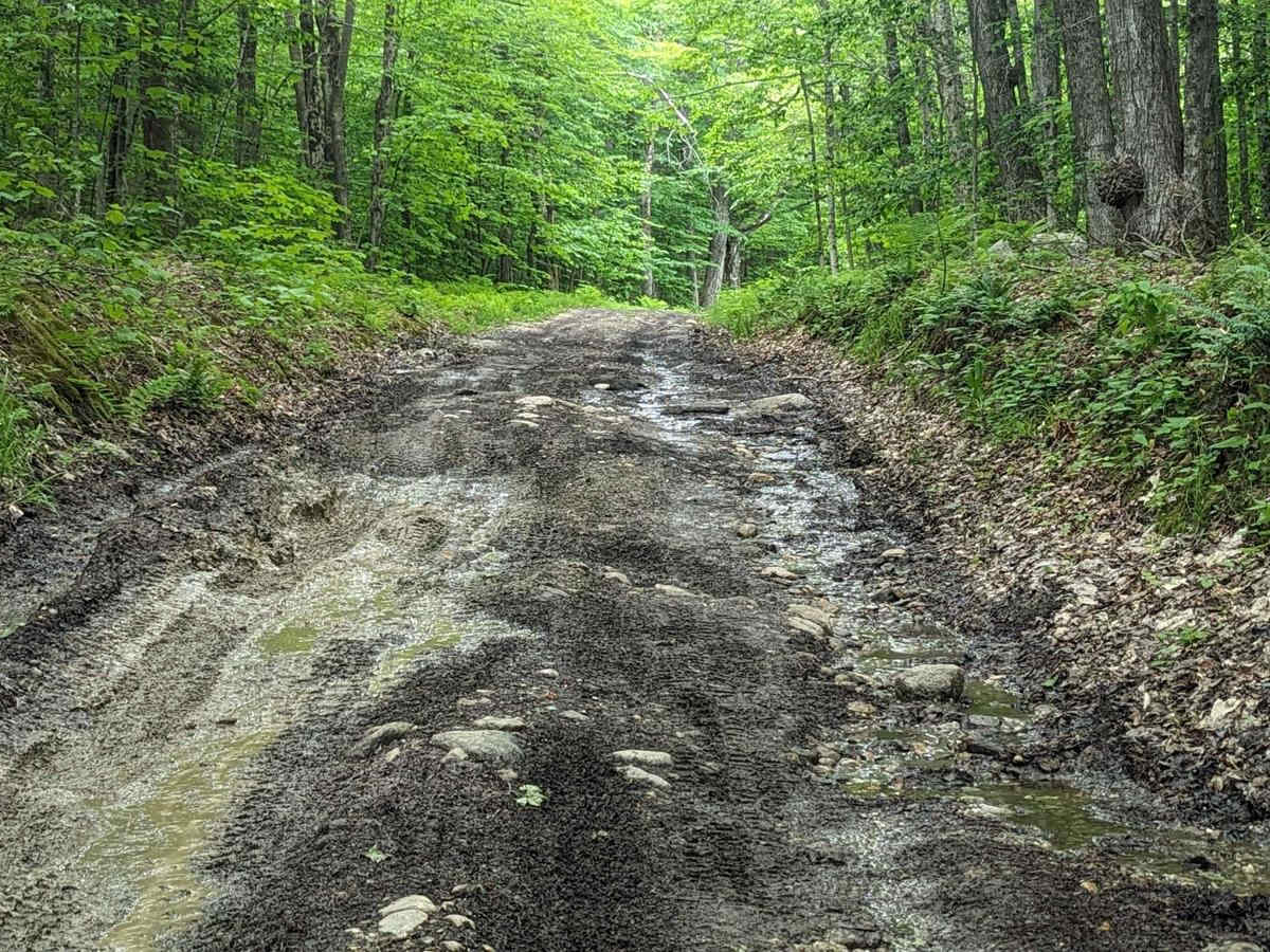 Adams Road photo 4