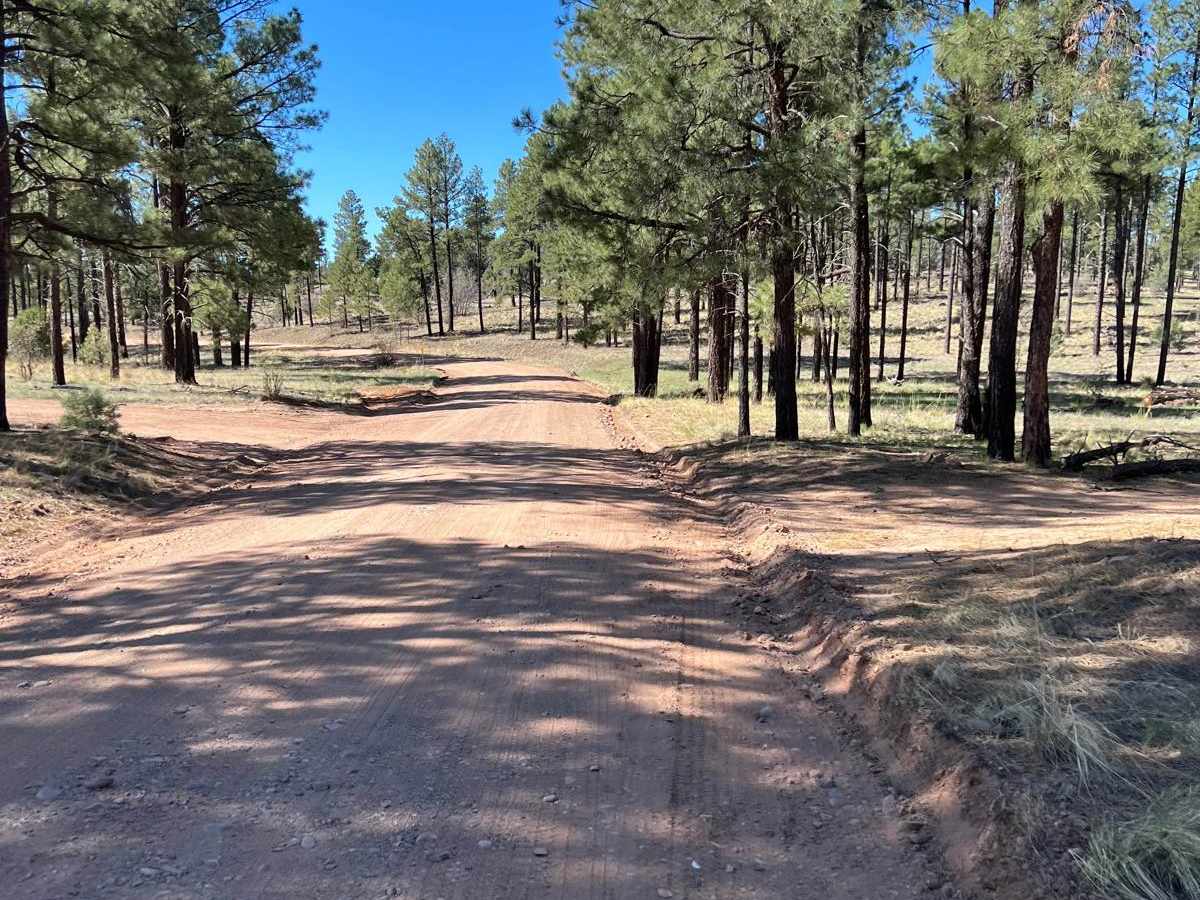 FS 139 Cottonwood Wash trail photo
